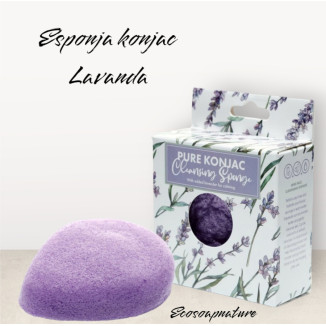 Esponja konjac de lavanda Calmante 