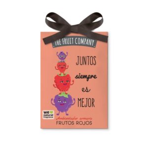 Ambientador Armario Tfc Frutos Rojos